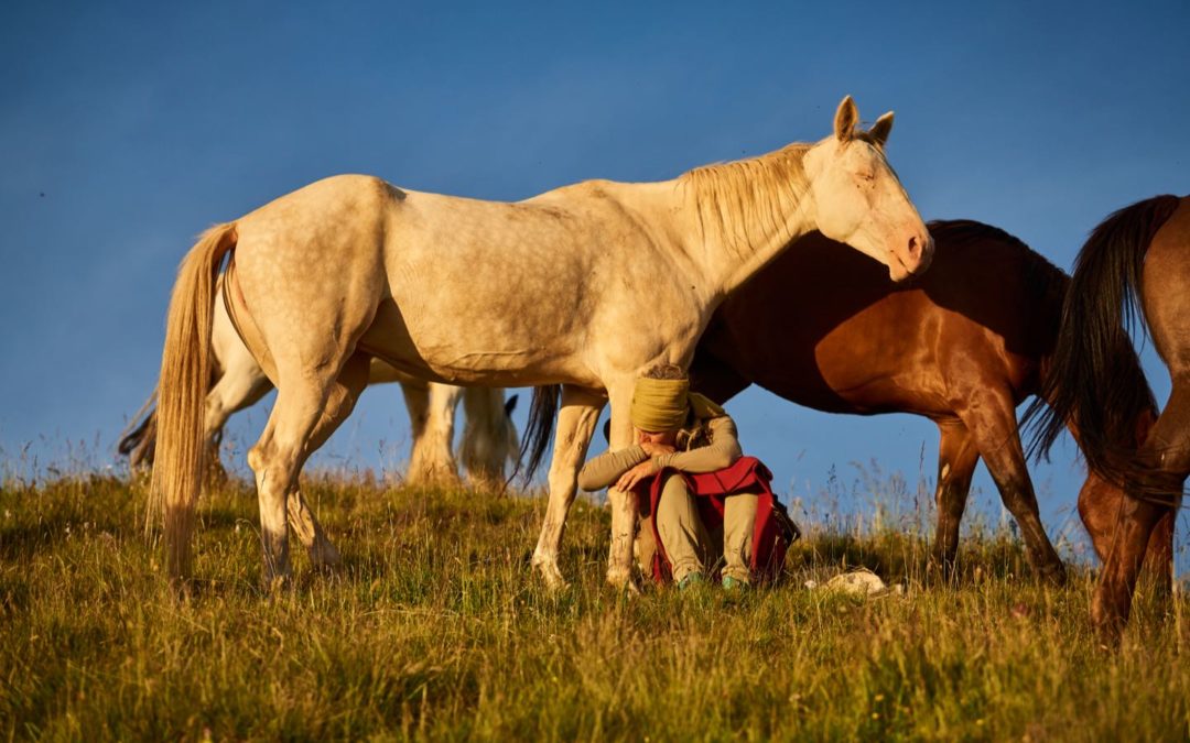 Beltane – Horses, Fire and Cacao